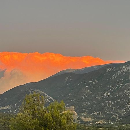 Les Terrasses Du Ventoux Apartment Mollans-sur-Ouveze Bagian luar foto
